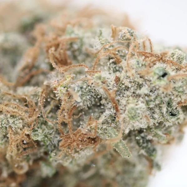 Skywalker OG