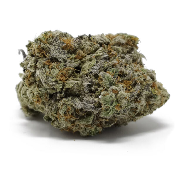 The Grease Monkey strain is a popular hybrid cannabis strain celebrated for its indica-dominant effects, combining relaxation with a delightful flavor profile. Derived from the genetic cross of Gorilla Glue #4 and Cookies and Cream, Grease Monkey delivers a potent experience that appeals to seasoned cannabis users and medical patients alike. The buds are dense, sticky, and coated with a thick layer of trichomes, showcasing its high THC potency. Known for its aroma of sweet vanilla and pungent diesel, Grease Monkey cannabis creates a sensory experience that captivates enthusiasts. It’s a favorite for managing conditions like chronic pain, anxiety, and insomnia, providing soothing effects that promote relaxation and stress relief. The flavor profile blends earthy tones with hints of creamy dessert, making every session a treat for the palate. This strain’s versatility makes it suitable for both recreational and medicinal use, offering a balanced high that begins with a cerebral uplift before transitioning into full-body relaxation. Grease Monkey buds are expertly cultivated, ensuring a premium product for cannabis connoisseurs. Whether you enjoy smoking, vaping, or experimenting with edibles, this strain delivers consistent quality. At Canna Green Express, we provide Grease Monkey strain products that are lab-tested and hand-trimmed to guarantee freshness and potency. Whether you're seeking relief or a flavorful experience, Grease Monkey offers a unique cannabis journey tailored to your needs. Explore Canna Green Express to learn more about this exceptional strain.