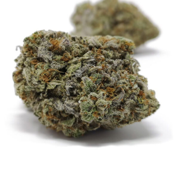 Discover the potent effects of the Grease Monkey strain, an indica-leaning hybrid cannabis strain that has gained immense popularity for its relaxing and therapeutic properties. With genetics stemming from Gorilla Glue #4 and Cookies and Cream, Grease Monkey offers a robust combination of flavors and effects. The buds are visually striking, featuring deep green hues and a generous coating of sticky trichomes. The aroma is a rich blend of sweet vanilla, earthy undertones, and diesel, creating a profile that stands out among hybrid strains. Known for its high THC content, Grease Monkey is ideal for alleviating symptoms of anxiety, insomnia, and chronic pain. Its effects begin with a euphoric mental buzz that slowly transitions into a calming body high, making it perfect for evening use. Whether you're a recreational user looking for a flavorful smoke or a medical patient seeking effective relief, the Grease Monkey strain caters to a diverse range of needs. At Canna Green Express, we take pride in offering high-quality cannabis products like Grease Monkey, ensuring freshness, potency, and satisfaction with every purchase.