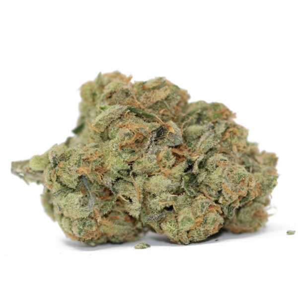 King Louis XIII