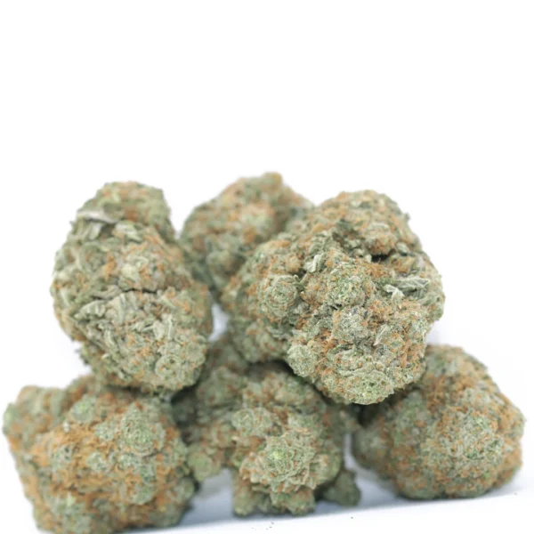m33-strain