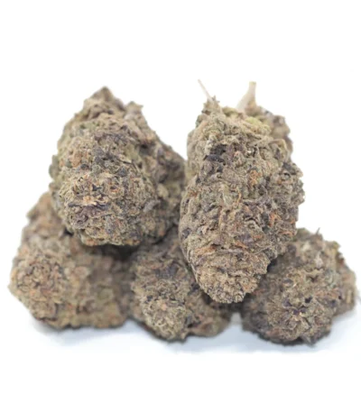 The Blue Zushi strain is a potent hybrid with a distinctive flavor and balanced effects, created by crossing Zkittlez and Kush Mints. With THC levels between 20% and 25%, Blue Zushi provides a mental uplift followed by a calming body high, making it ideal for users seeking both euphoria and relaxation. This strain’s effects start with a euphoric mental clarity, perfect for enhancing creativity and social interactions, followed by a gentle body relaxation that relieves stress and muscle tension without causing drowsiness. Blue Zushi is particularly effective for managing symptoms of stress, anxiety, and minor pain, making it a preferred choice among medical cannabis patients. The flavor profile of Blue Zushi is complex, with dominant sweet tropical notes that are balanced by earthy and slightly spicy undertones. This unique flavor, influenced by Zkittlez genetics, is complemented by an earthy spice from Kush Mints, making each inhale flavorful and satisfying. The aroma of Blue Zushi combines fruity, floral, and earthy notes, enhancing the overall sensory experience. Visually, Blue Zushi’s buds are dense, compact, and resin-rich, showcasing a vibrant green color with blue undertones and bright orange hairs. The trichome layer adds a frosty sheen to the buds, signaling quality and potency. This strain is popular among both recreational and therapeutic users for its well-rounded effects, delightful flavor, and appealing visual qualities. Blue Zushi is suitable for both daytime and evening use, allowing users to enjoy relaxation and relief without feeling overly sedated.