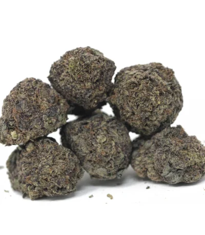 Gary Payton strain image showcasing dense, frosty cannabis buds covered in vibrant orange hairs and a thick layer of trichomes. This hybrid strain, named after NBA legend Gary Payton, delivers uplifting effects, promoting happiness and creativity. The Gary Payton strain boasts a unique flavor profile of sweet, earthy, and spicy notes, ideal for stress relief and relaxation. Known for its high THC content, Gary Payton strain is popular for alleviating anxiety, depression, and chronic pain. The visually striking Gary Payton strain appeals to recreational and medicinal users alike. Its dense buds and vibrant trichomes signify premium quality cannabis. Cultivators of the Gary Payton strain appreciate its generous yields and easy growth. Gary Payton strain's balance of uplifting energy and calming relaxation makes it versatile for any occasion. From its sweet aroma to its smooth flavor, the Gary Payton strain is a top choice. Explore the Gary Payton strain's unique properties for an unmatched cannabis experience.