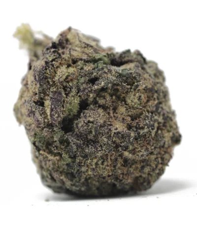 Gary Payton strain cannabis flower, showcasing its dense, frosty buds with orange hairs and thick resin. Named after NBA star Gary Payton, this hybrid strain is known for its unique effects and exceptional quality. The Gary Payton strain delivers sweet, earthy flavors with hints of spice, offering a balanced experience for both recreational and medicinal users. With uplifting effects, the Gary Payton strain promotes euphoria, relaxation, and focus, making it ideal for managing stress, anxiety, and pain. Growers of the Gary Payton strain benefit from its high yields and easy cultivation. The Gary Payton strain's trichome-rich buds highlight its potency and premium quality. Whether you're looking for relaxation or a boost in creativity, the Gary Payton strain caters to diverse needs. Its aroma, flavor, and effects make the Gary Payton strain a standout in the cannabis world. Experience the Gary Payton strain's unparalleled characteristics.