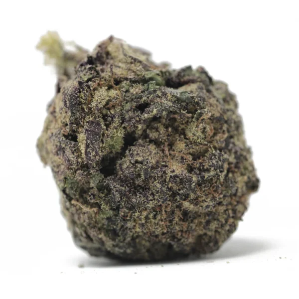 Gary Payton strain cannabis flower, showcasing its dense, frosty buds with orange hairs and thick resin. Named after NBA star Gary Payton, this hybrid strain is known for its unique effects and exceptional quality. The Gary Payton strain delivers sweet, earthy flavors with hints of spice, offering a balanced experience for both recreational and medicinal users. With uplifting effects, the Gary Payton strain promotes euphoria, relaxation, and focus, making it ideal for managing stress, anxiety, and pain. Growers of the Gary Payton strain benefit from its high yields and easy cultivation. The Gary Payton strain's trichome-rich buds highlight its potency and premium quality. Whether you're looking for relaxation or a boost in creativity, the Gary Payton strain caters to diverse needs. Its aroma, flavor, and effects make the Gary Payton strain a standout in the cannabis world. Experience the Gary Payton strain's unparalleled characteristics.