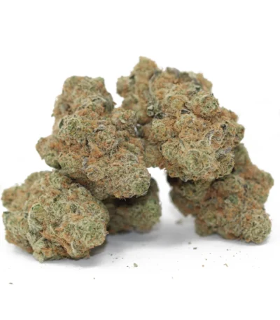 BC Big Bud strain, a balanced hybrid cannabis option with potent effects and impressive yields, originating from British Columbia. Known for its large, resinous buds and high THC content, BC Big Bud delivers a combination of uplifting mental effects and soothing physical relaxation. This strain, related to Amsterdam’s Big Bud, is a sativa-dominant hybrid that provides a euphoric cerebral high, followed by a gentle body relaxation that eases muscle tension without being overly sedative. BC Big Bud is popular among users seeking a strain with balanced effects, ideal for managing stress, anxiety, depression, and mild pain. The flavor profile of BC Big Bud is fruity and sweet, featuring hints of citrus and berry with earthy undertones, creating a refreshing and enjoyable smoking experience. Its aroma includes skunky notes alongside fruity sweetness, making BC Big Bud enjoyable in various consumption methods. BC Big Bud is also favored by growers for its resilience and high yields, flowering in 8 to 9 weeks and producing large, sticky buds. This strain is a popular choice for both medicinal and recreational users who enjoy versatile effects and a rich, fruity flavor, making BC Big Bud a staple in cannabis collections.