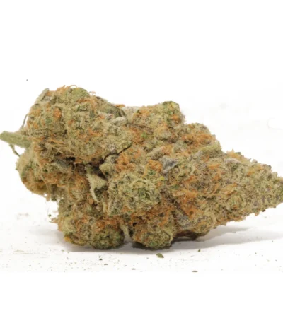 BC Big Bud cannabis strain, a popular sativa-dominant hybrid from British Columbia, known for its balanced effects and large, trichome-coated buds. This premium strain, a cousin to the Amsterdam Big Bud, provides a unique combination of mental clarity and physical relaxation. Users can enjoy BC Big Bud’s uplifting cerebral high, perfect for promoting creativity and euphoria, followed by a soothing body sensation. Ideal for those seeking relief from stress, anxiety, and mild pain, BC Big Bud is appreciated for its versatility, making it suitable for daytime and evening use. The flavor profile includes sweet, fruity notes of citrus and berries, complemented by earthy and herbal undertones. Known for its high THC content, BC Big Bud offers powerful effects that appeal to both recreational and medicinal users. Growers favor BC Big Bud for its large yields, as it flowers within 8 to 9 weeks and produces dense, sticky buds. Whether smoked or vaporized, the aroma of BC Big Bud is sweet and skunky, creating a flavorful and aromatic experience. Perfect for cannabis enthusiasts looking for a well-rounded strain, BC Big Bud delivers on both potency and flavor, standing out as a top choice in the cannabis community.