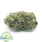 Animal Cookies