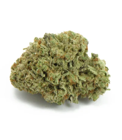 Close-up of Oreoz strain buds showcasing their dense, frosty trichomes, amber pistils, and vibrant green hues. This hybrid cannabis strain is a flavorful masterpiece with THC levels reaching up to 30%. Oreoz combines sweet dessert-like notes of chocolate and vanilla with earthy undertones. Ideal for relaxation and managing stress, insomnia, and chronic pain, the Oreoz strain delivers a euphoric cerebral high followed by calming body effects. Available at Canna Green Express, it’s a top choice for cannabis connoisseurs seeking potency and flavor.