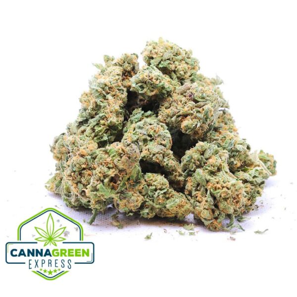 Purple Diesel
