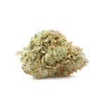 Lucid Discover the Lucid Blue strain, a sativa-dominant hybrid celebrated for its profound psychoactive capabilities and unique flavor profile. A cross between Grateful Breath and Blue Dream, Lucid Blue combines their best traits to offer a deeply cerebral experience, making it a favorite among creative individuals. This strain stands out with its classic blueberry and pepper flavors inherited from Blue Dream, layered with a pleasant aroma of sweet blueberries mingled with earthy undertones. The buds are visually striking, featuring dense, vibrant green foliage adorned with frosty trichomes and purple hues, emphasizing its potent genetic lineage. Lucid Blue is designed for those with a heavy tolerance, delivering a powerful yet balanced high that elevates your state of consciousness without diminishing your faculties. It provides an uplifting, euphoric sensation that enhances creativity and sociability, ideal for artistic pursuits or social gatherings. Its stimulating effects on the mind are matched by a soothing calm that makes it suitable for alleviating stress, anxiety, and symptoms of mild depression, contributing to its recreational and therapeutic appeal. Cultivation of Lucid Blue is noted for its vigorous growth and high yields, thriving in various environments and suitable for both novice and experienced growers. This resilience in growth is matched by its robust flavor and aromatic profile, making it a top choice for those who appreciate both the art and science of cannabis cultivation. The strain's popularity is reinforced by user reviews that often highlight its consistent quality and reliable effects, making it a staple in dispensaries across the USA. In the cannabis community, Lucid Blue is revered not just for its potent effects and appealing aroma, but also for its role in promoting a deeper understanding of hybrid cannabis strains. Its genetic makeup showcases the successful combination of sativa and indica traits, offering a balanced high that accommodates a wide range of cannabis enthusiasts. From its high THC levels to its rich terpene profile, Lucid Blue embodies the complexity and diversity of cannabis strains that cater to a sophisticated palate. For consumers looking for a strain that offers both high potency and an engaging sensory experience, Lucid Blue is an excellent choice. Its ability to stimulate the mind while calming the body makes it uniquely positioned within the cannabis market, appealing to users seeking both medicinal benefits and recreational enjoyment. Whether you're exploring cannabis for its therapeutic properties or its ability to enhance creativity and social interactions, Lucid Blue provides a compelling option that consistently delivers quality and satisfaction.
