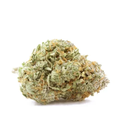 Lucid Discover the Lucid Blue strain, a sativa-dominant hybrid celebrated for its profound psychoactive capabilities and unique flavor profile. A cross between Grateful Breath and Blue Dream, Lucid Blue combines their best traits to offer a deeply cerebral experience, making it a favorite among creative individuals. This strain stands out with its classic blueberry and pepper flavors inherited from Blue Dream, layered with a pleasant aroma of sweet blueberries mingled with earthy undertones. The buds are visually striking, featuring dense, vibrant green foliage adorned with frosty trichomes and purple hues, emphasizing its potent genetic lineage. Lucid Blue is designed for those with a heavy tolerance, delivering a powerful yet balanced high that elevates your state of consciousness without diminishing your faculties. It provides an uplifting, euphoric sensation that enhances creativity and sociability, ideal for artistic pursuits or social gatherings. Its stimulating effects on the mind are matched by a soothing calm that makes it suitable for alleviating stress, anxiety, and symptoms of mild depression, contributing to its recreational and therapeutic appeal. Cultivation of Lucid Blue is noted for its vigorous growth and high yields, thriving in various environments and suitable for both novice and experienced growers. This resilience in growth is matched by its robust flavor and aromatic profile, making it a top choice for those who appreciate both the art and science of cannabis cultivation. The strain's popularity is reinforced by user reviews that often highlight its consistent quality and reliable effects, making it a staple in dispensaries across the USA. In the cannabis community, Lucid Blue is revered not just for its potent effects and appealing aroma, but also for its role in promoting a deeper understanding of hybrid cannabis strains. Its genetic makeup showcases the successful combination of sativa and indica traits, offering a balanced high that accommodates a wide range of cannabis enthusiasts. From its high THC levels to its rich terpene profile, Lucid Blue embodies the complexity and diversity of cannabis strains that cater to a sophisticated palate. For consumers looking for a strain that offers both high potency and an engaging sensory experience, Lucid Blue is an excellent choice. Its ability to stimulate the mind while calming the body makes it uniquely positioned within the cannabis market, appealing to users seeking both medicinal benefits and recreational enjoyment. Whether you're exploring cannabis for its therapeutic properties or its ability to enhance creativity and social interactions, Lucid Blue provides a compelling option that consistently delivers quality and satisfaction.