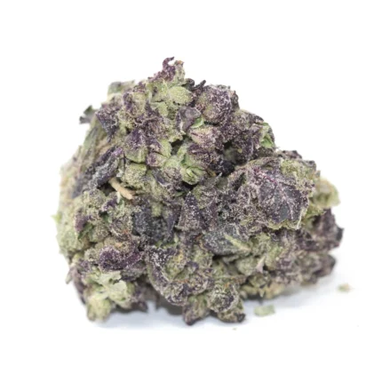 Purple Afgani
