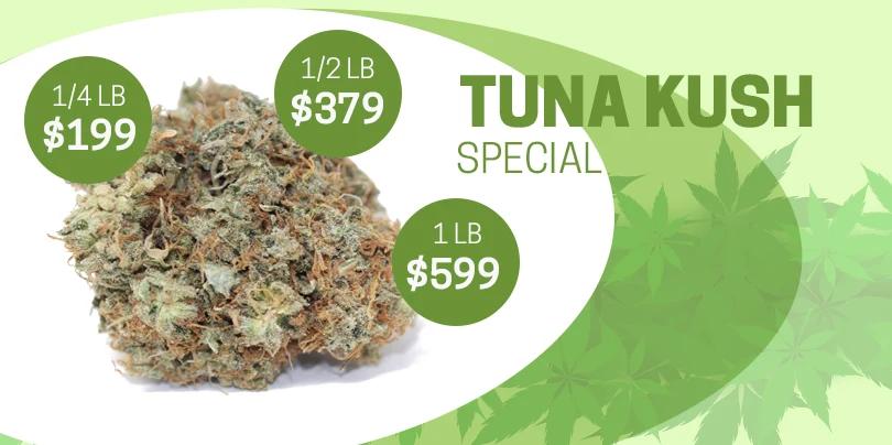 Tuna Kush