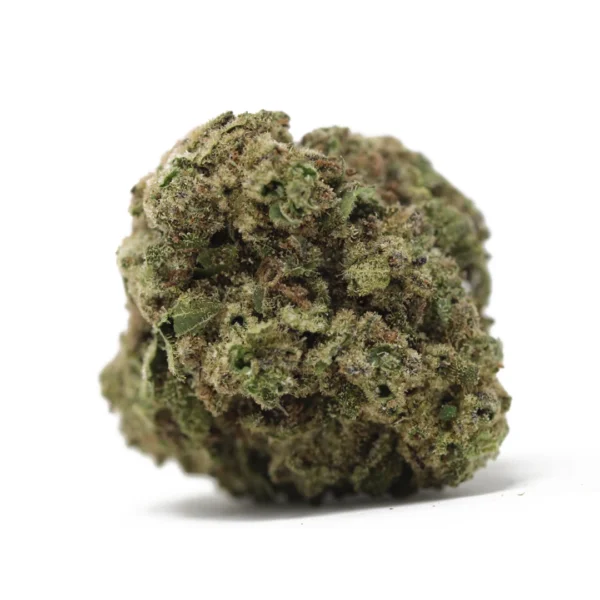 Master Kush