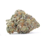 MK Ultra BC