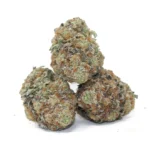 MK Ultra BC