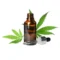 CBD/THC OIL