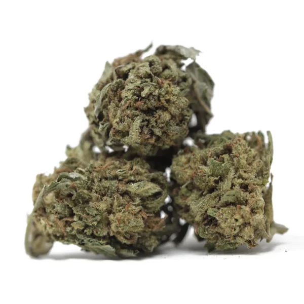 Auto Blackberry Kush