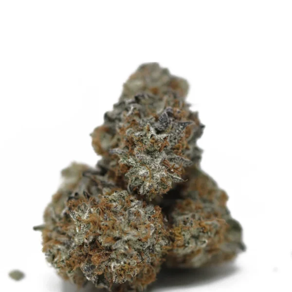 Freezeland QC