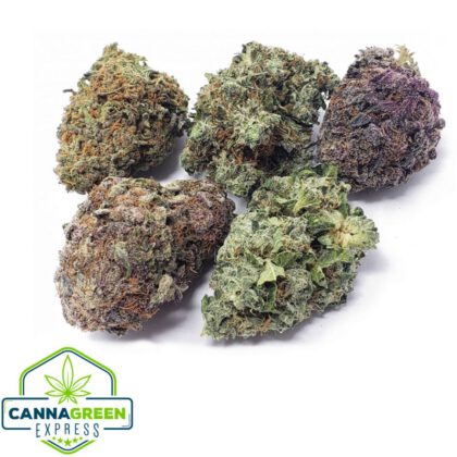 2 Gram - Sample Packs