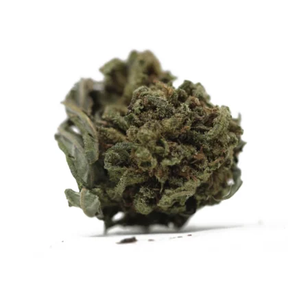 Auto Blackberry Kush