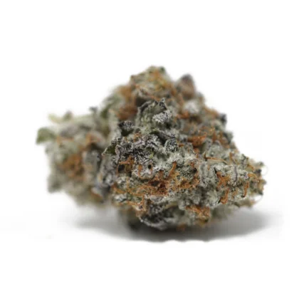 Freezeland QC