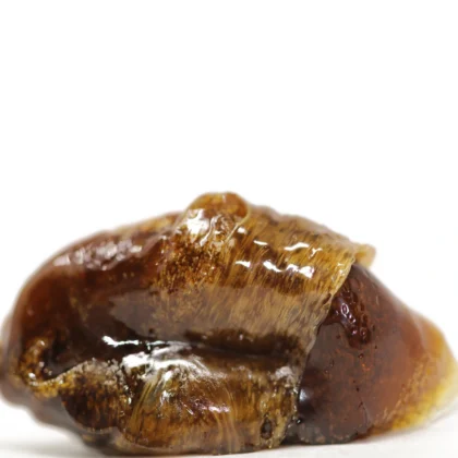 GG4 Resin (CRAFT)