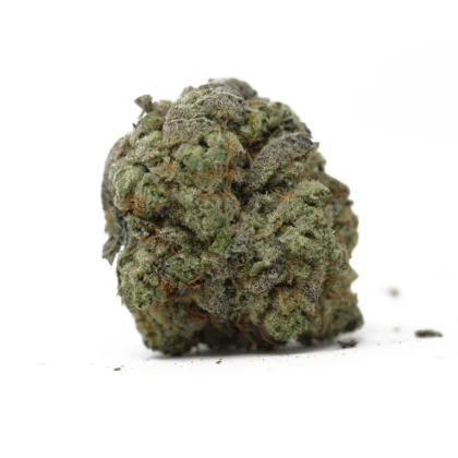 Gangster OG