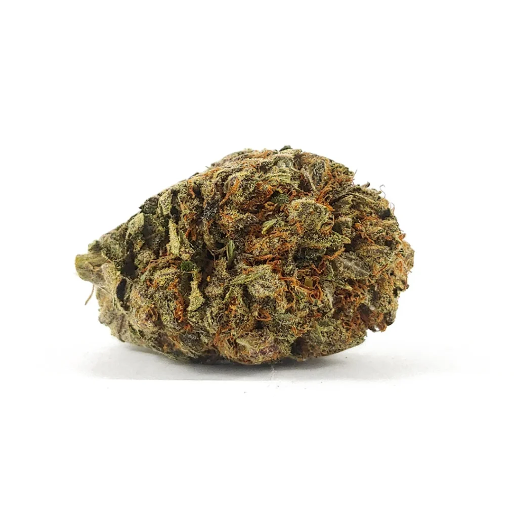 Jarilla Sinaloa AAA sativa cannabis flower