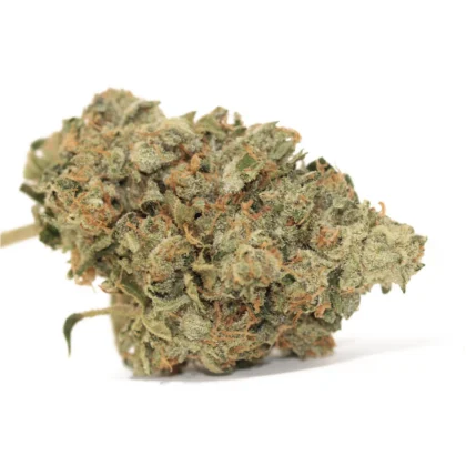 AK 47 Premium