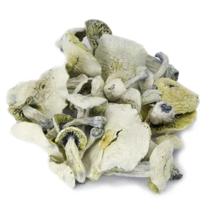 Albino Avery