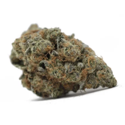 Mint Chocolate Chip X Animal Mints