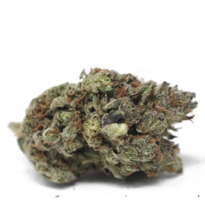 Apple Fritter