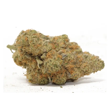 BC Big Bud strain AAAA sativa cannabis flower