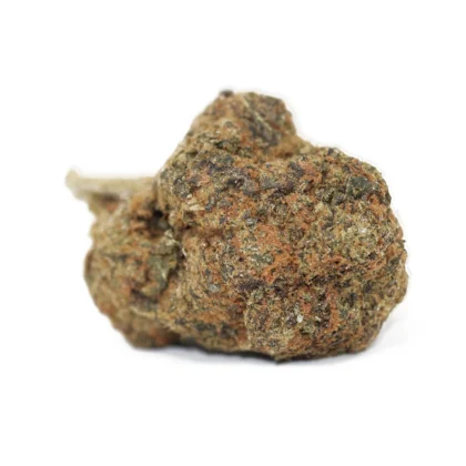 Black Domina