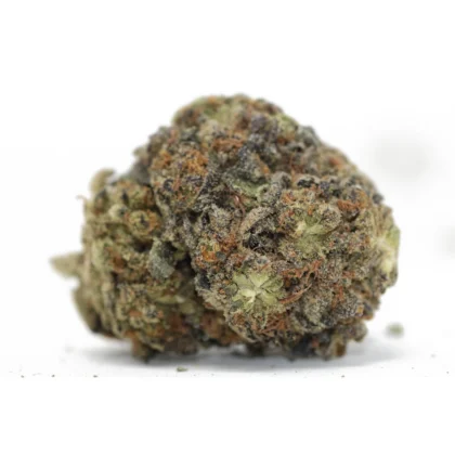 Black Jack