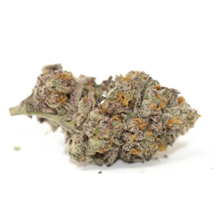 Blueberry Muffin
