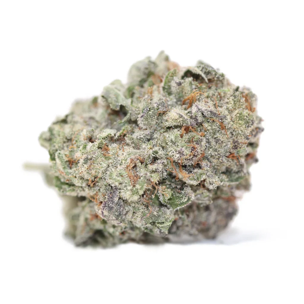 Blueberry Blast strain sativa cannabis flower