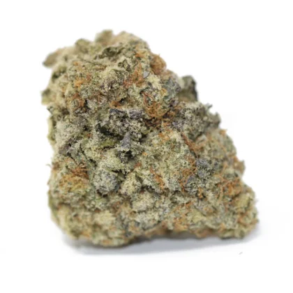 Brain Freeze - TOP SHELF