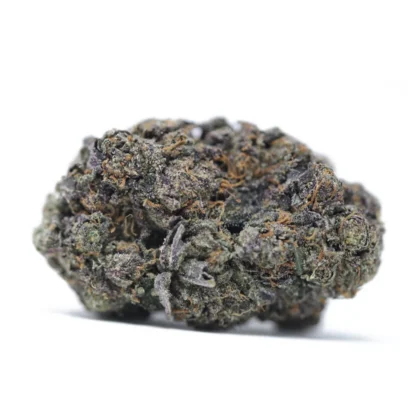 Dark Horse (Exotic)