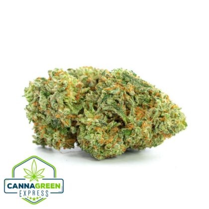 GG4 (Gorilla Glue #4)