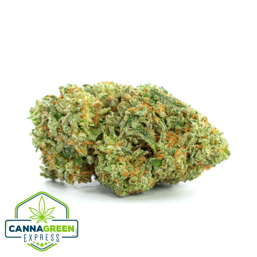 GG4 Gorilla Glue #4 AAAA hybrid cannabis flower