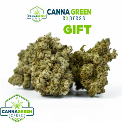 Free Gift - 10 g