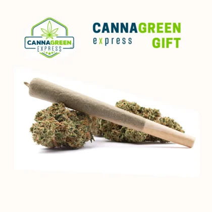Free Gift - Prerolls 5 pcs