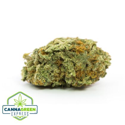 GSC (Girl Scout Cookies) Special