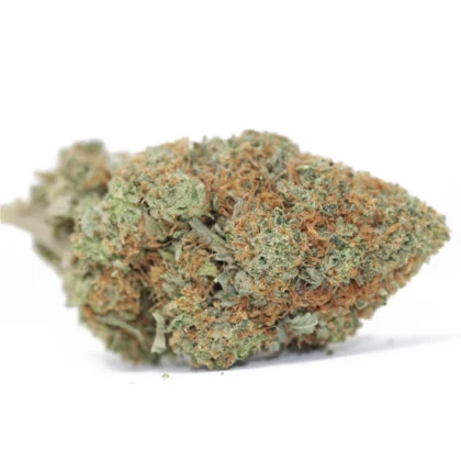 Guava