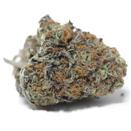 Haze Berry