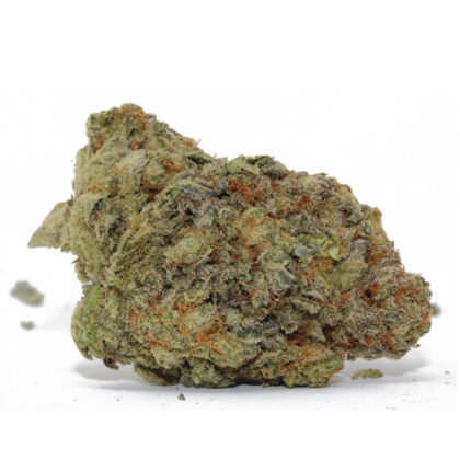 Jack Herer