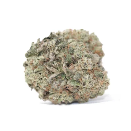 Jet Fuel Strain G6 AAAA hybrid cannabis flower